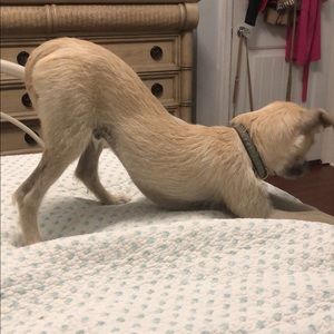 Meet your Posher, Madeleine